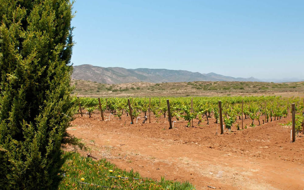 Rancho El Parral Villa San Marcos  Dış mekan fotoğraf