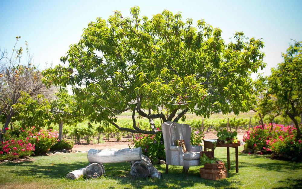 Rancho El Parral Villa San Marcos  Dış mekan fotoğraf